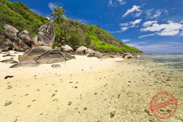 Anse Tortue