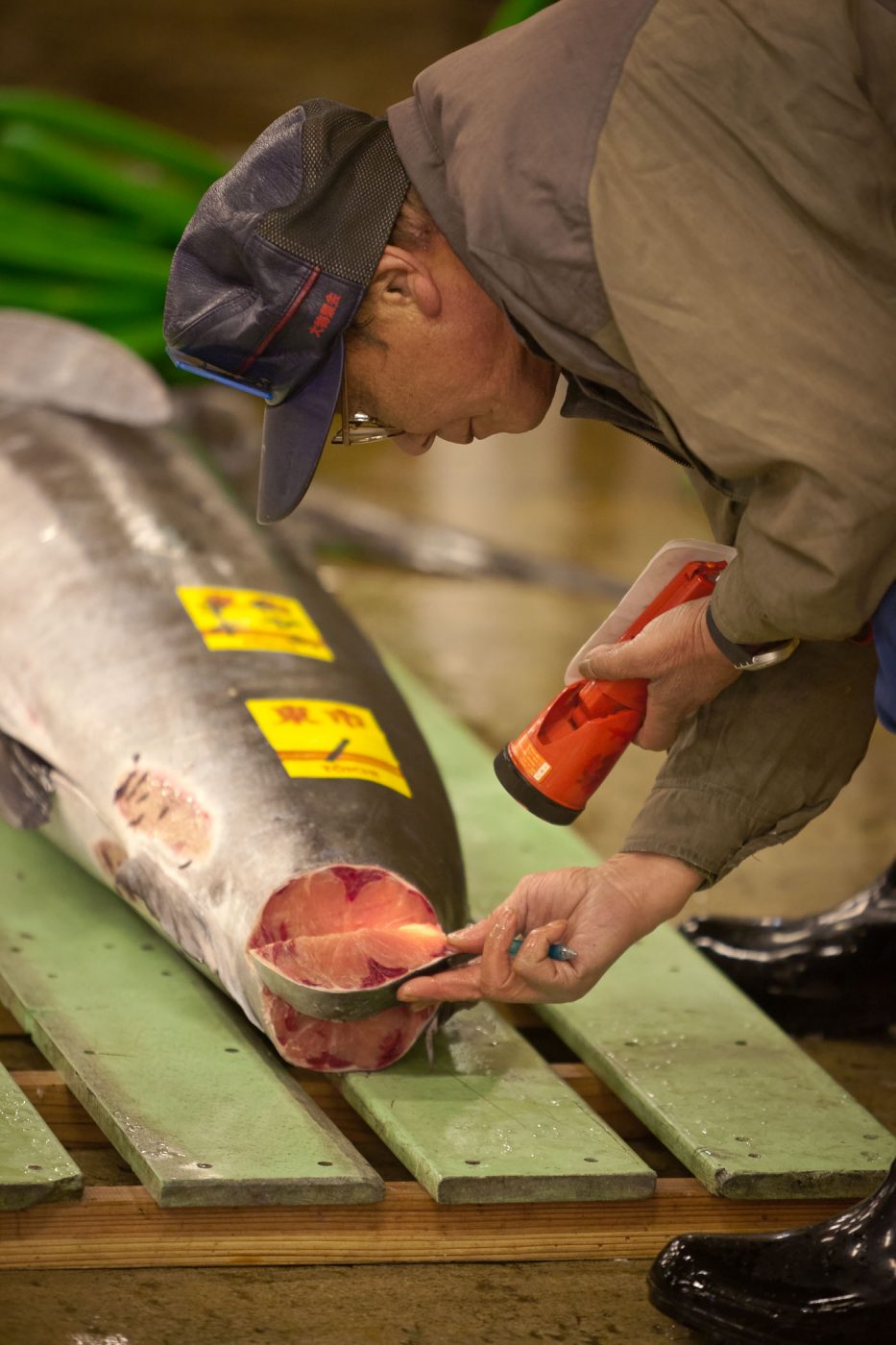 Tsukiji (marché aux poissons)