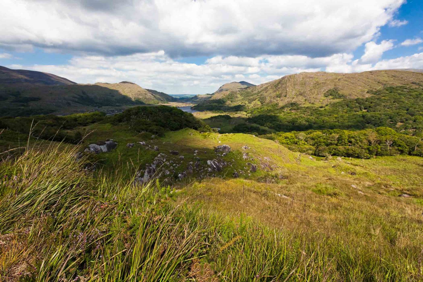 Lady's view (Killarney National Park)