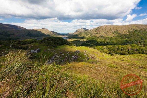 Lady's view (Killarney National Park)