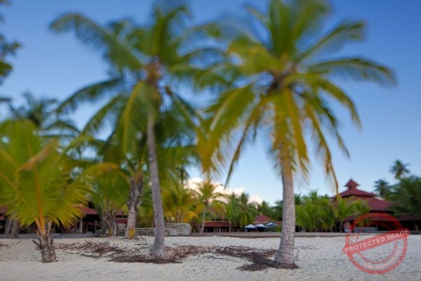 La plage d'Anse Royale