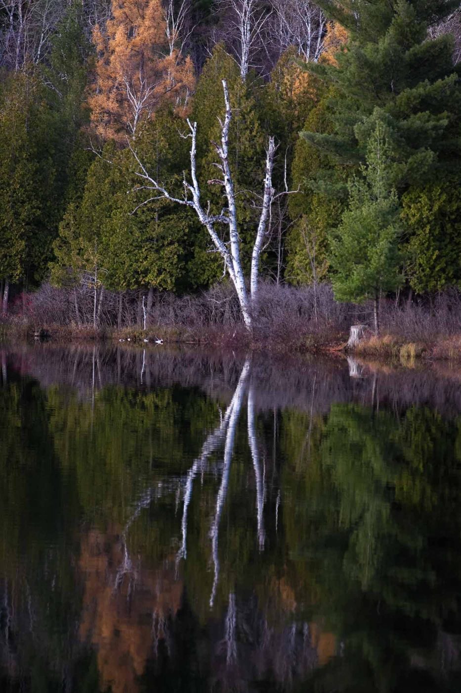 Reflets dans le lac Raynaud