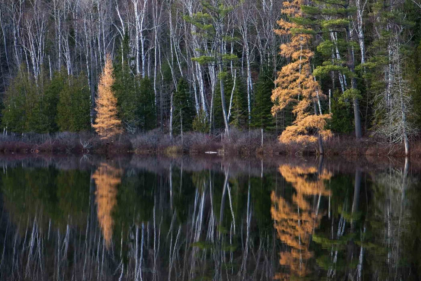 Reflets dans le lac Raynaud