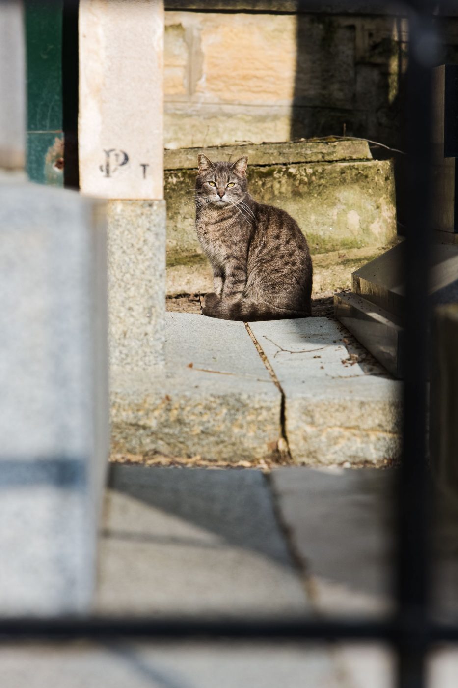 Cimetière de Montmartre