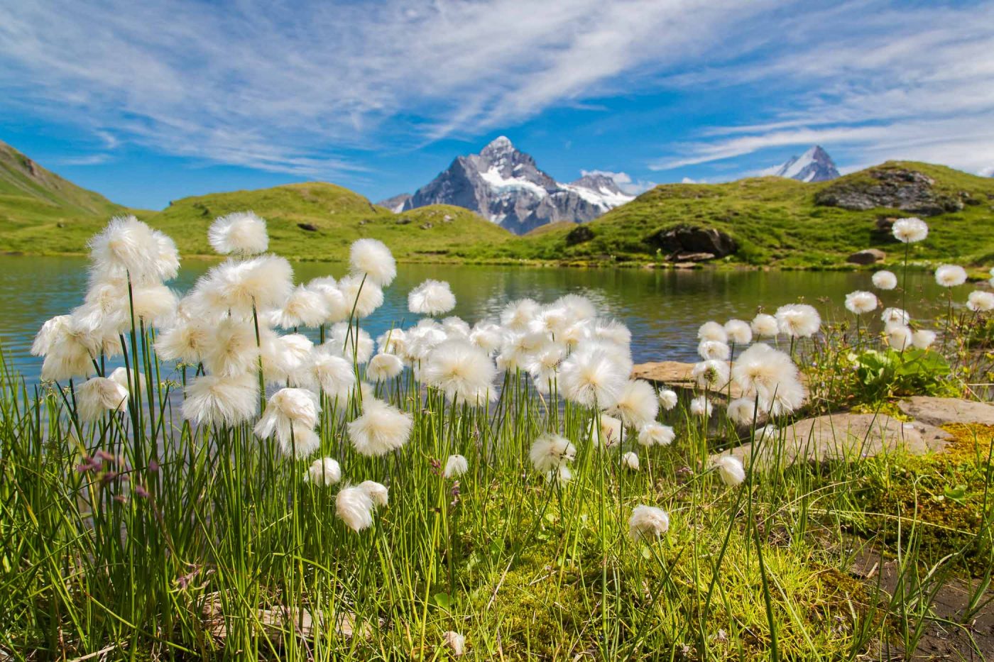 Bachalpsee