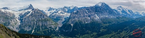Panoramique