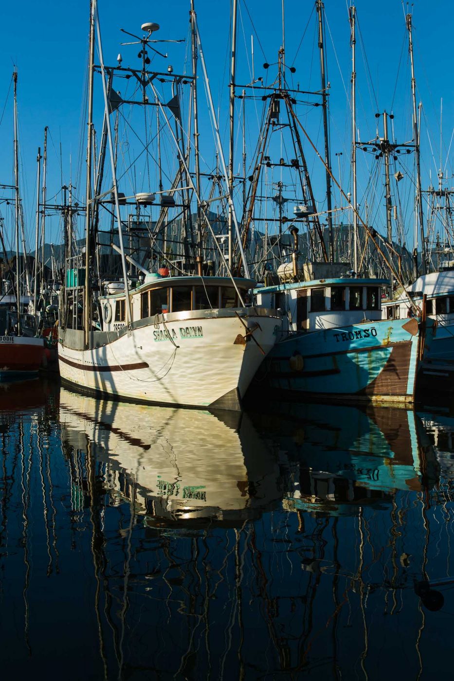 Ucluelet Harbour