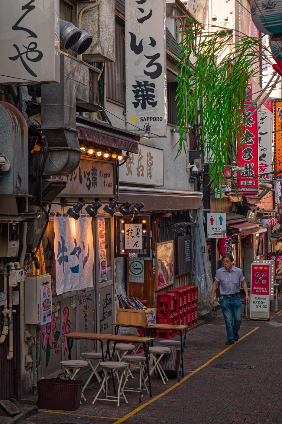 Omoide Yokocho - 新宿西口 思い出横丁