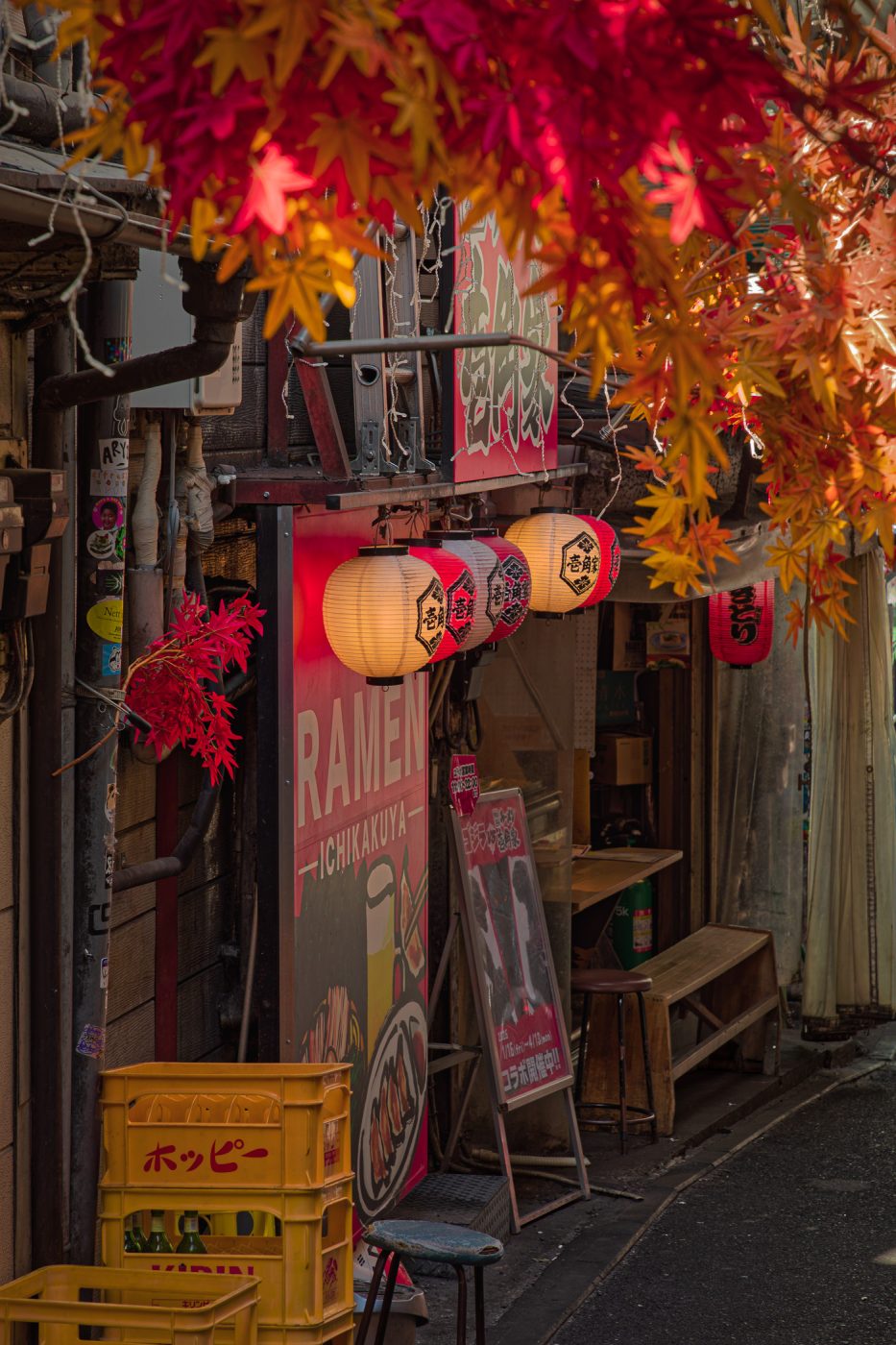 Omoide Yokocho - 新宿西口 思い出横丁