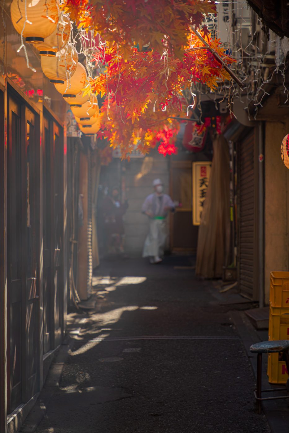 Omoide Yokocho - 新宿西口 思い出横丁