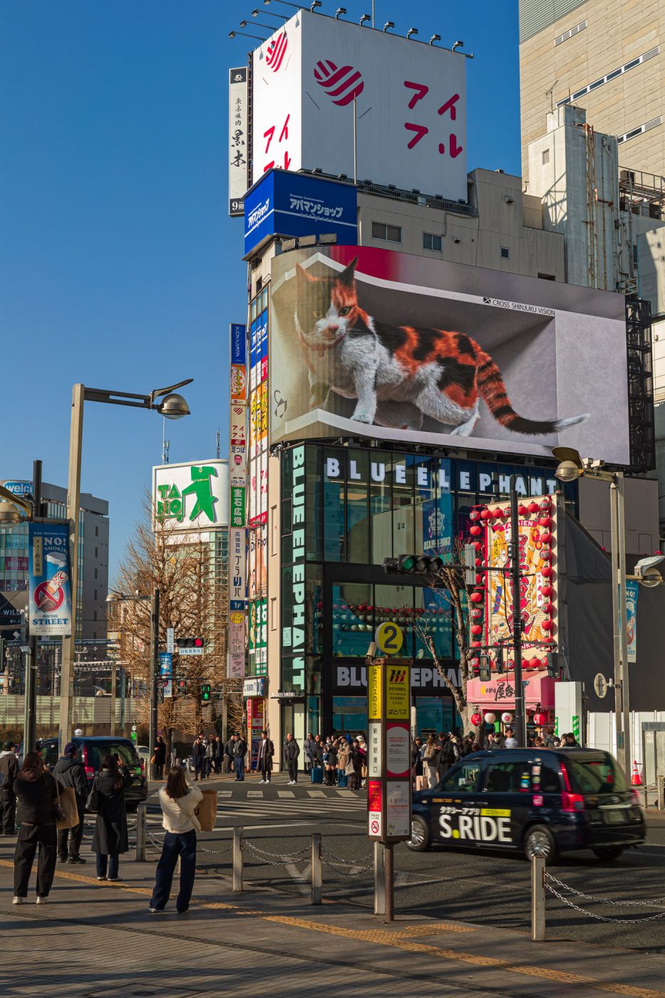 Le chat géant de shinjuku - 新宿東口の猫